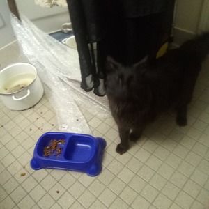 Meet your Posher, Freda